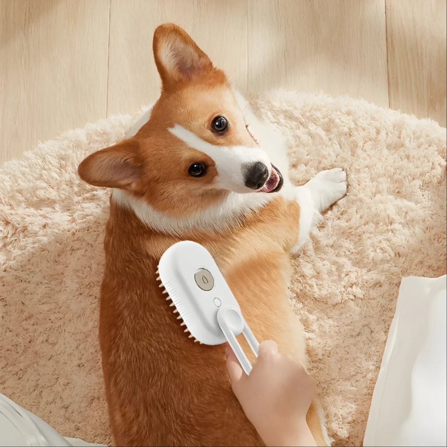 Petcare™ – Cepillo de Vapor 3 en 1 (blanco) – Agotado