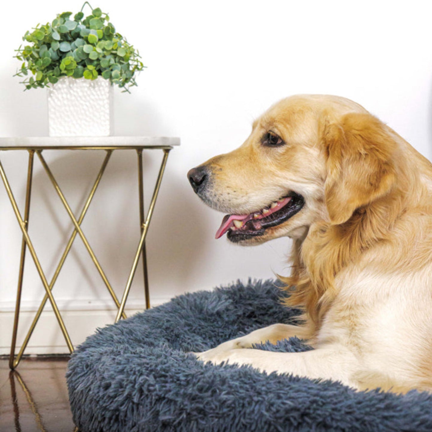 Petsleep+™ – Cama Antiestrés Acogedora