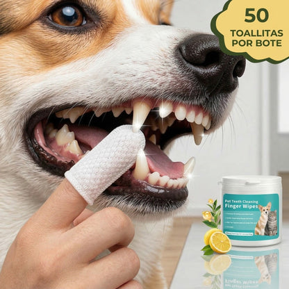 Toallitas Dentales Limpieza Mascotas (50 Unidades)