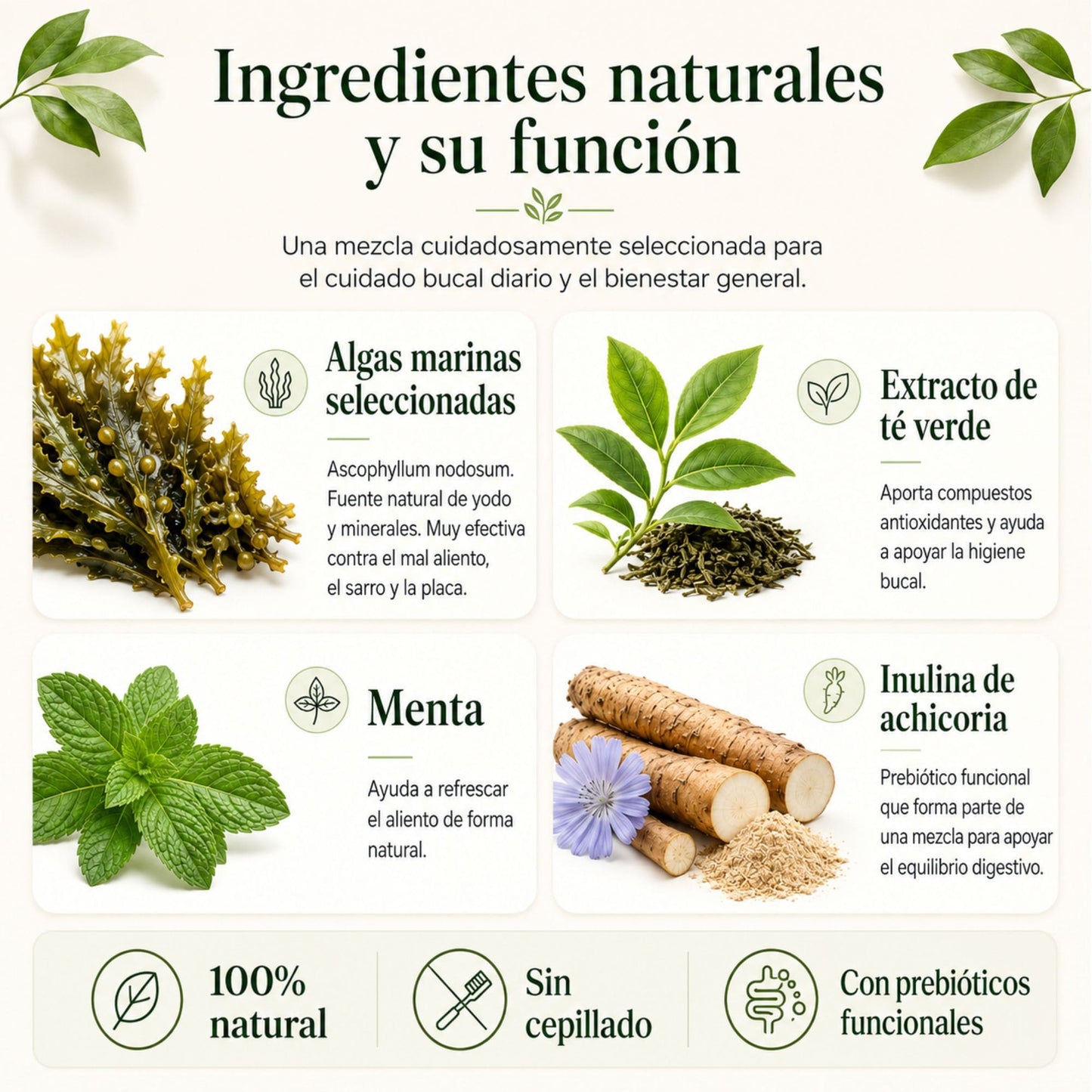 Polvo Dental Natural 4 en 1