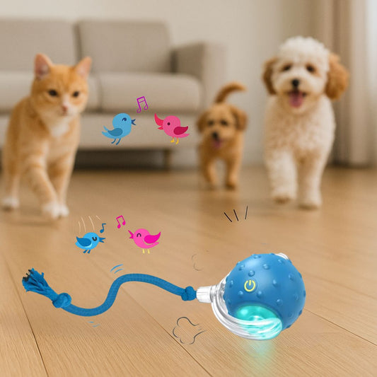 Pelota Interactiva con Cuerda – Petball+™