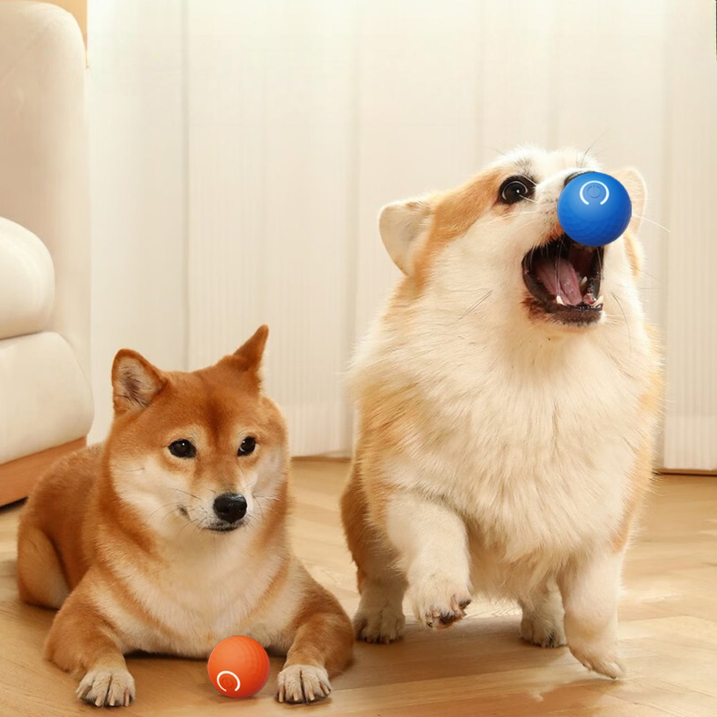 Pelota interactiva PETBALL (azul)