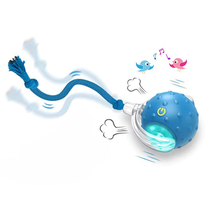 Pelota Interactiva con Cuerda – Petball+™