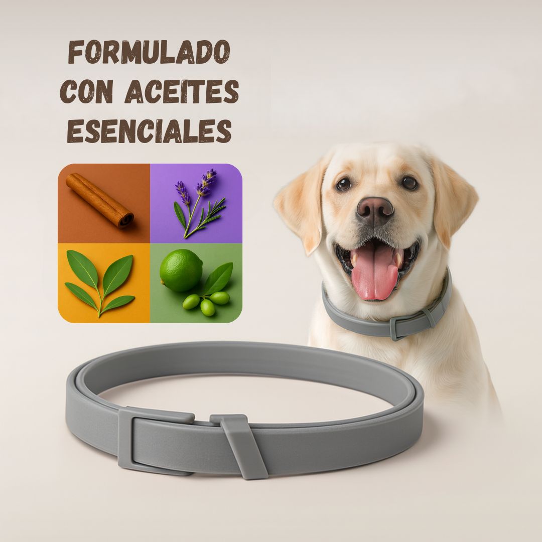 Zerotox™ – Collar Antiparasitario Natural para Perros