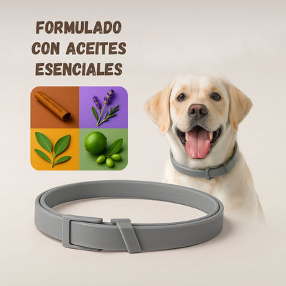 Zerotox™ – Collar Antiparasitario Natural para Perros