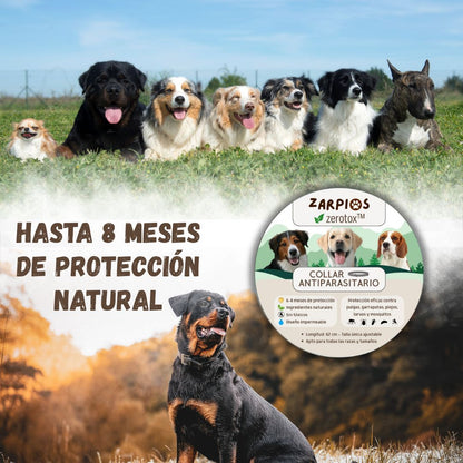 Zerotox™ – Collar Antiparasitario Natural para Perros