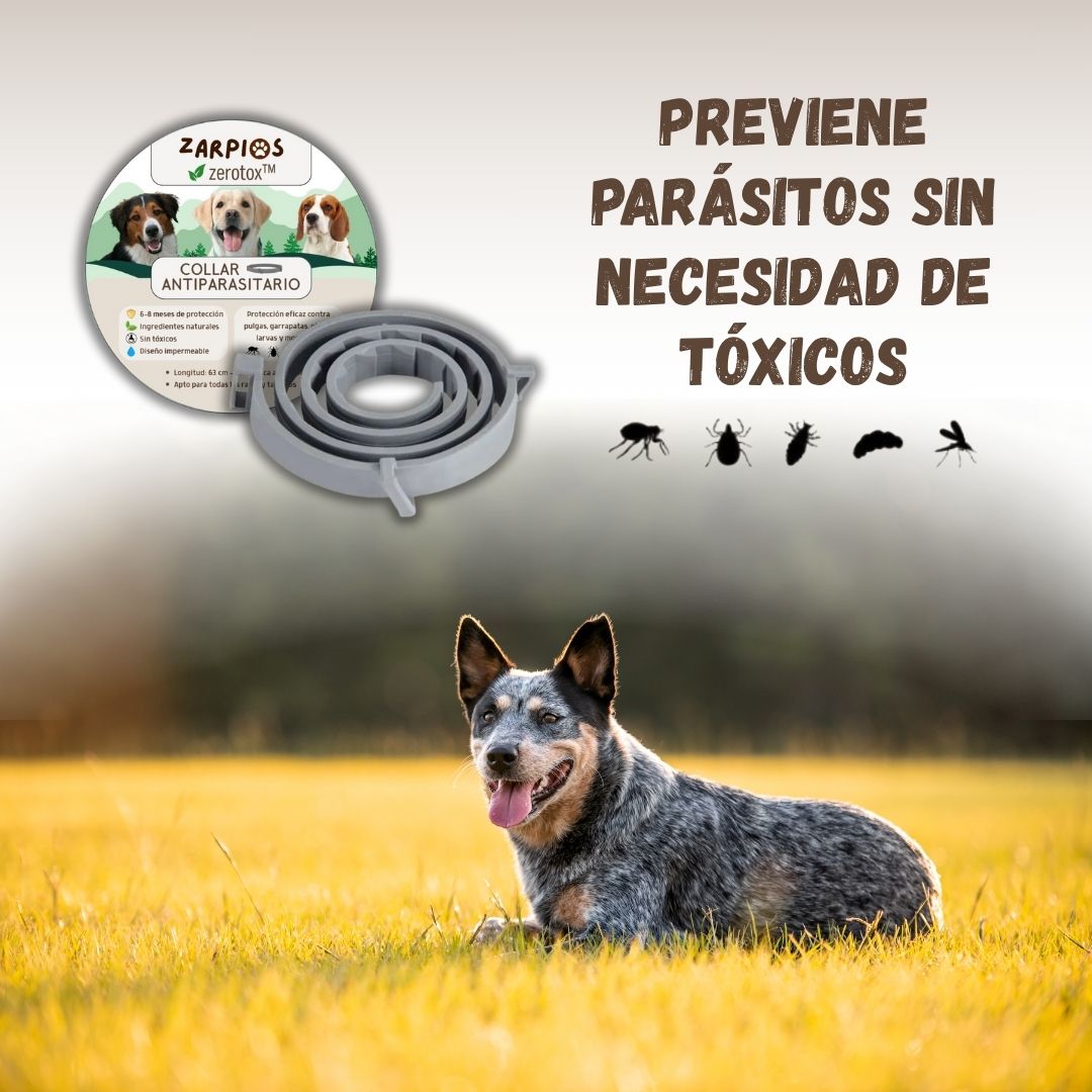 Zerotox™ – Collar Antiparasitario Natural para Perros