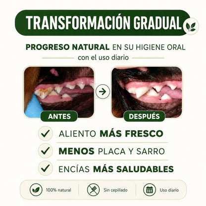 Polvo Dental Natural 4 en 1