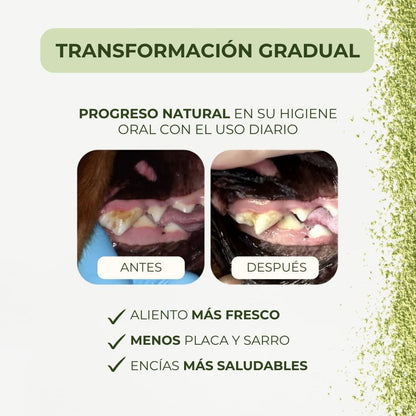 Polvo Dental Natural 4 en 1 para Perros y Gatos − 200 g