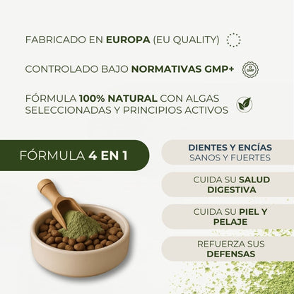 Polvo Dental Natural 4 en 1 para Perros y Gatos − 200 g