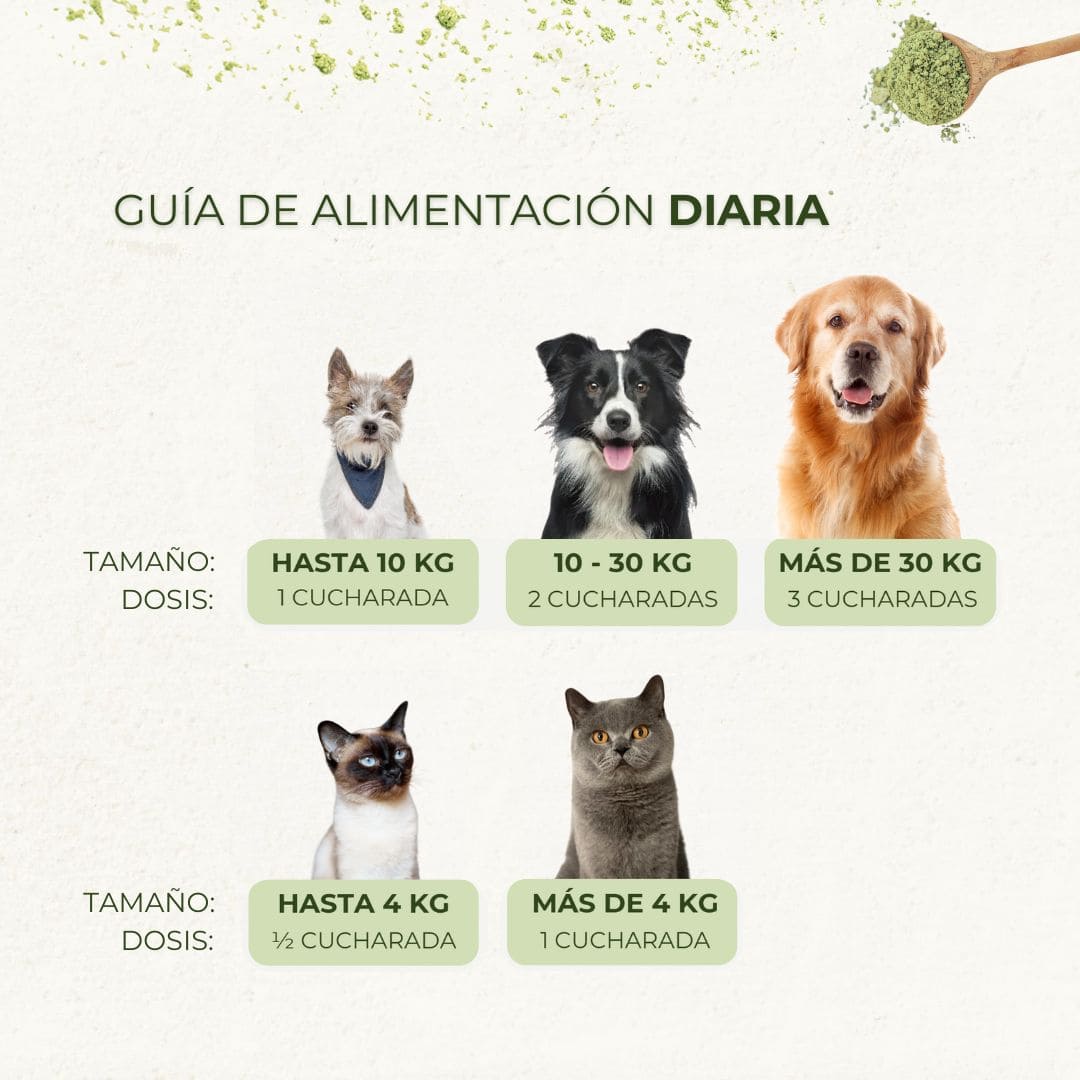 Polvo Dental Natural 4 en 1 para Perros y Gatos − 200 g