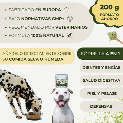 Polvo Dental Natural 4 en 1
