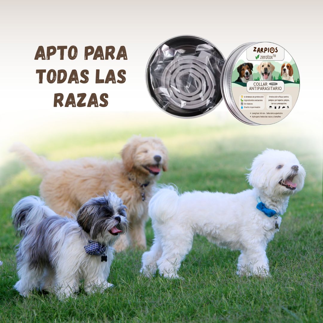 Zerotox™ – Collar Antiparasitario Natural para Perros