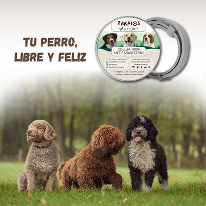 Zerotox™ – Collar Antiparasitario Natural para Perros