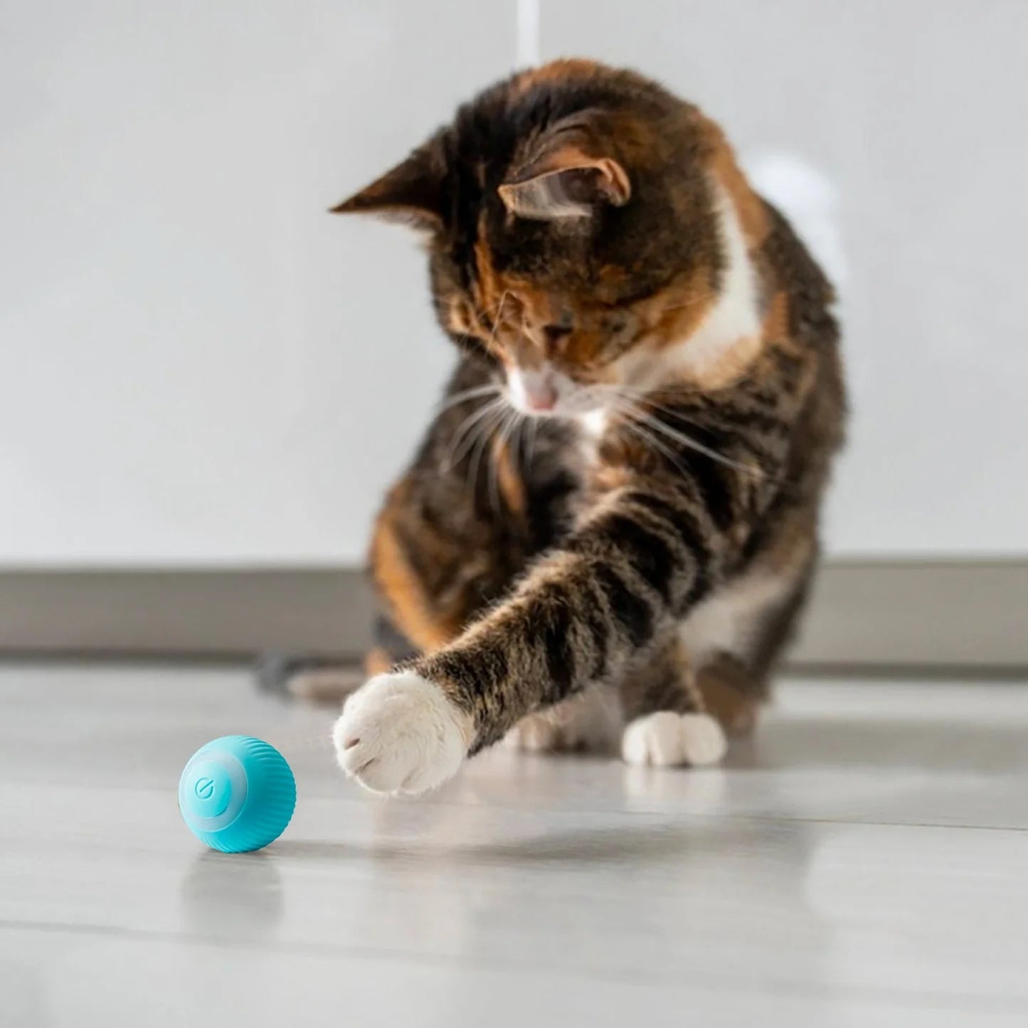 Pelota interactiva PETFIT (azul)