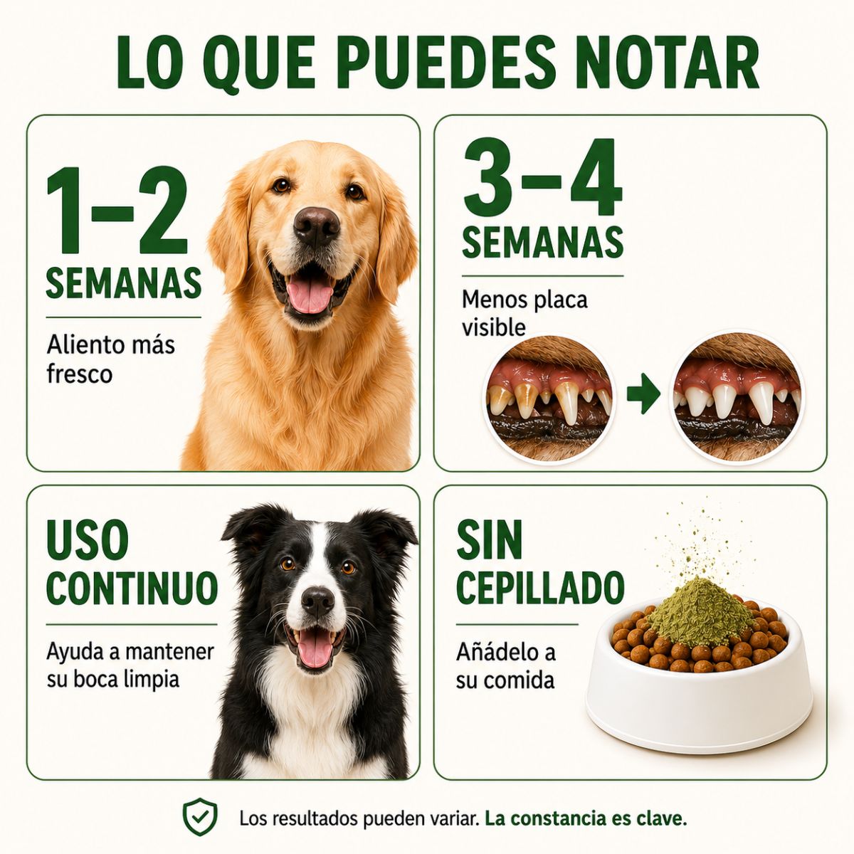 Polvo Dental Natural 4 en 1 - OFERTA 2x1