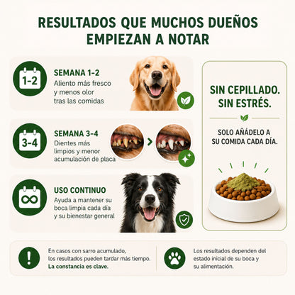 Polvo Dental Natural 4 en 1